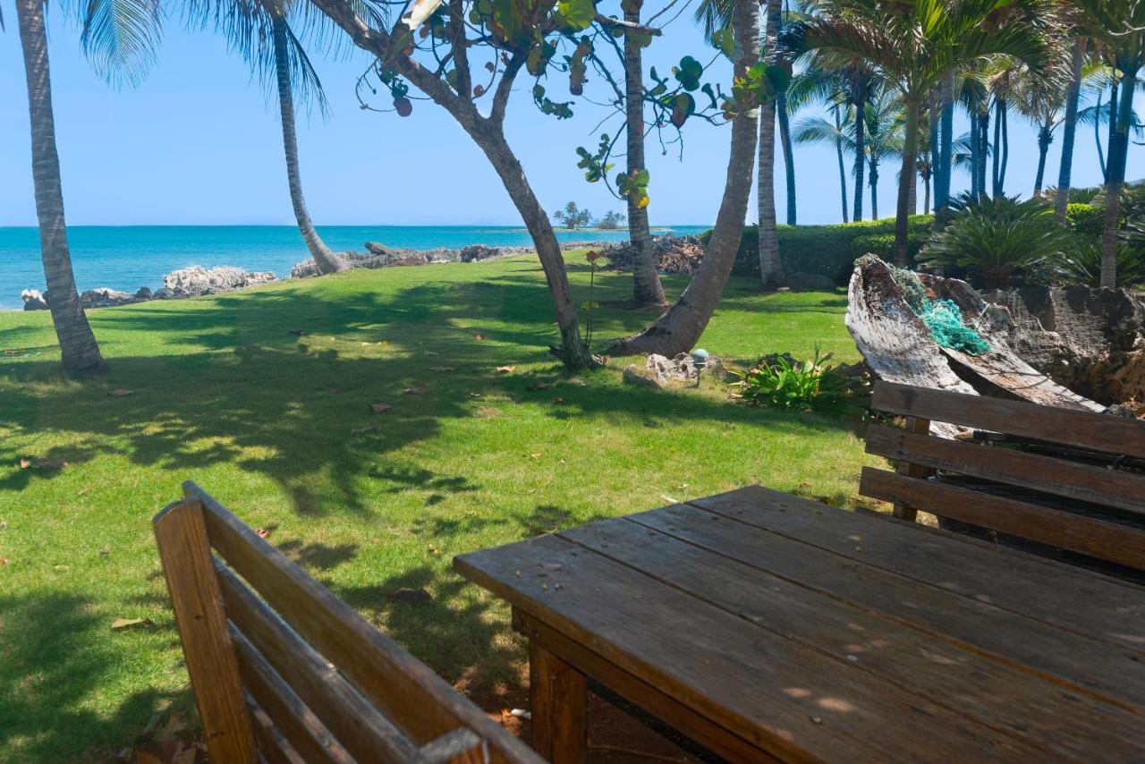 Jasmine La Playita - Ocean Front Apartamento Las Galeras Exterior foto